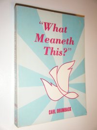 cover of the book What Meaneth This