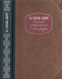 cover of the book Дневник провинциала в Петербурге