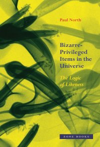 cover of the book Bizarre-Privileged Items in the Universe: The Logic of Likeness