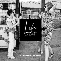 cover of the book Life Is But