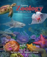 cover of the book Exploring Zoology: a Laboratory Guide