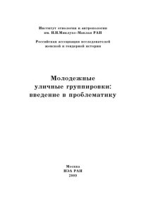 cover of the book Молодежные уличные группировки: введение в проблематику