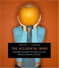 cover of the book The Accidental Mind: How Brain Evolution Has Given Us Love, Memory, Dreams and God