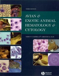 cover of the book Avian and Exotic Animal Hematology and Cytology