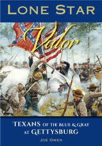 cover of the book Lone Star Valor: Texans of the Blue & Gray at Gettysburg