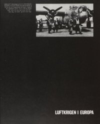 cover of the book Luftkrigen i Europa