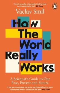 cover of the book How the World Really Works