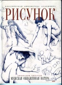 cover of the book Рисунок. Мужская обнаженная натура