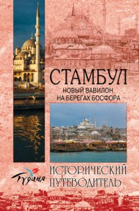 cover of the book Стамбул. Новый Вавилон на берегах Босфора