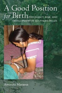 cover of the book A Good Position for Birth: Pregnancy, Risk, and Development in Southern Belize