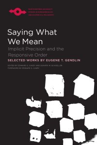 cover of the book Saying What We Mean: Implicit Precision and the Responsive Order (Studies in Phenomenology and Existential Philosophy)