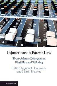 cover of the book Injunctions In Patent Law: Trans-Atlantic Dialogues On Flexibility And Tailoring