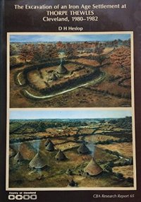 cover of the book The Excavation of an Iron Age Settlement at Thorpe Thewles, Cleveland, 1980-1982