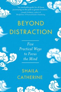 cover of the book Beyond Distraction: Five Practical Ways to Focus the Mind