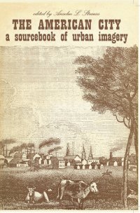 cover of the book The American City