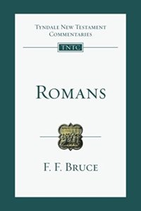 cover of the book Romans