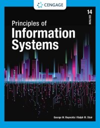 cover of the book Principles of information systems