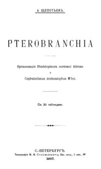 cover of the book Pterobranchia