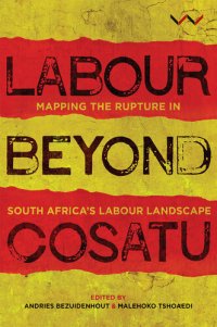 cover of the book Labour Beyond Cosatu: Mapping the Rupture in South Africa's Labour Landscape