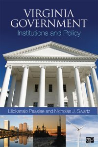 cover of the book Virginia Government: Institutions and Policy