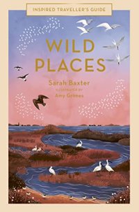 cover of the book Wild Places