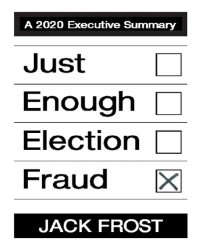 cover of the book Just Enough Election Fraud, A 2020 Executive Summary