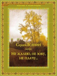 cover of the book Не жалею, не зову, не плачу… [Электронный ресурс]