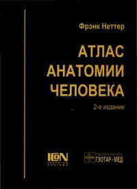 cover of the book Атлас анатомии человека