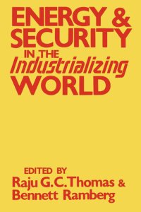 cover of the book Energy and Security in the Industrializing World