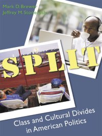 cover of the book Split