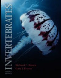 cover of the book Invertebrates