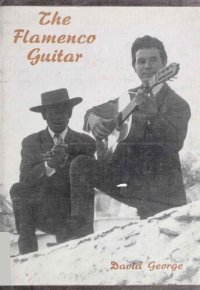 cover of the book The Flamenco Guitar