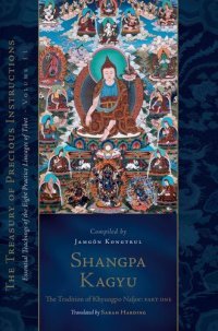 cover of the book Shangpa Kagyu: The Tradition of Khyungpo Naljor Part One: The Treasury of Precious Instructions: Essential Teachings of the Eight Practice Lineages of Tibet, Volume 11