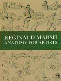 cover of the book Anatomy for Artists