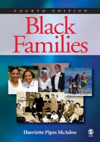 cover of the book Black Families