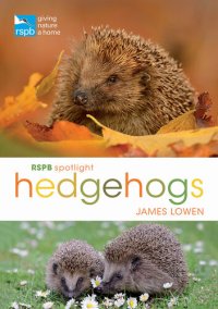 cover of the book RSPB Spotlight: Hedgehogs