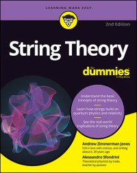 cover of the book String Theory For Dummies