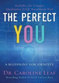 cover of the book The Perfect You: A Blueprint for Identity