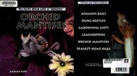 cover of the book Orchid Mantises