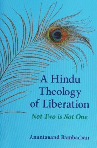 cover of the book A Hindu Theology of Liberation: Not-Two is Not One