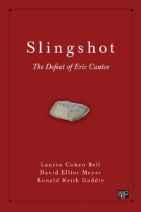 cover of the book Slingshot : the defeat of Eric Cantor