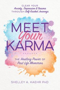 cover of the book Meet Your Karma: The Healing Power of Past Life Memories