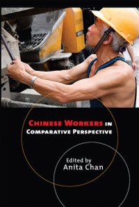 cover of the book Chinese Workers in Comparative Perspective