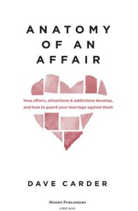 cover of the book Anatomy of an Affair