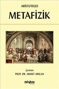 cover of the book Metafizik