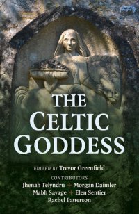 cover of the book The Celtic Goddess