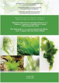 cover of the book Экологическая физиология водных фототрофных организмов: Ecological physiology of aquatic phototrophic organisms : полевой определитель водорослей рода Ulva Черного, Азовского, Каспийского морей и Восточной Балтики : учебное пособие для студентов, обучающи