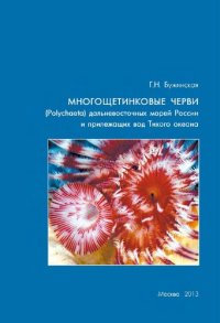 cover of the book Многощетинковые черви (Polychaeta) дальневосточных морей России и прилежащих вод Тихого океана: аннотированный список видов, библиография: Polychaetes of the Far East Seas of Russia and adjacent waters of the Pacific Ocean: annotated checklist and bibliog