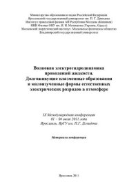 cover of the book Волновая электрогидродинамика проводящей жидкости. Долгоживущие плазменные образования и малоизученные формы естественных электрических разрядов в атмосфере: IX Международная конференция, 1-4 июля 2011 года, Ярославль, ЯрГУ им. П. Г. Демидова : материалы 