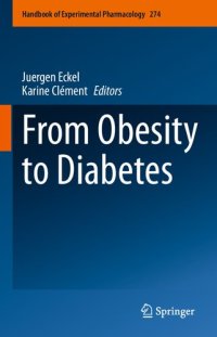 cover of the book From Obesity to Diabetes